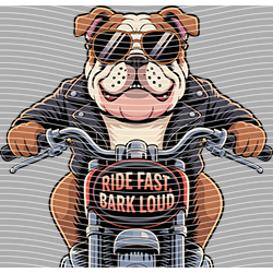 Animal Text Series-AT 3655